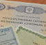 Путин поручил сократить срок рассмотрения заявлений на маткапитал - Газета Победа