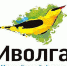 Продолжается регистрация на Молодёжный форум "iВолга 2020" - Газета Победа