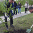 Новые деревья вырастут в сквере башкирских конников в Луганской Народной Республике - Газета Победа