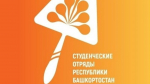 В БФ УУНиТ идет работа по реализации программы «Вожатый»
