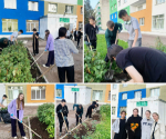 Череда субботников началась