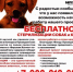 Бесплатная стерилизация собак и кошек в Бирске - Бирский район